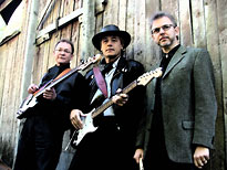 Bild &copy; Mike Turner Band (l&aring;nad fr&aring;n fridhammar.com)